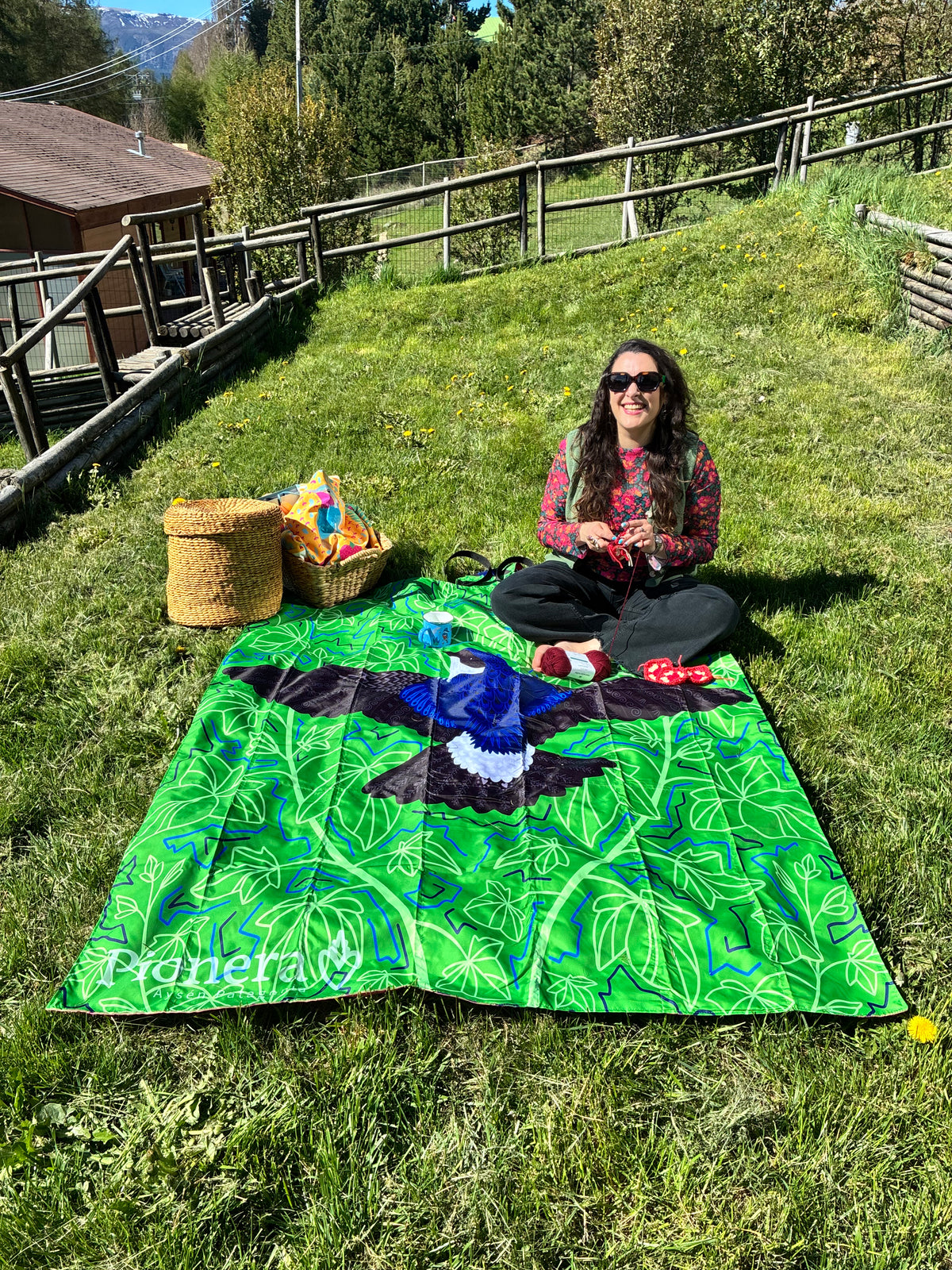 Manta Picnic - Golondrina - Carpintero