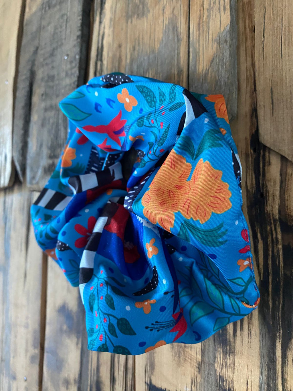 Colet - Martín Pescador