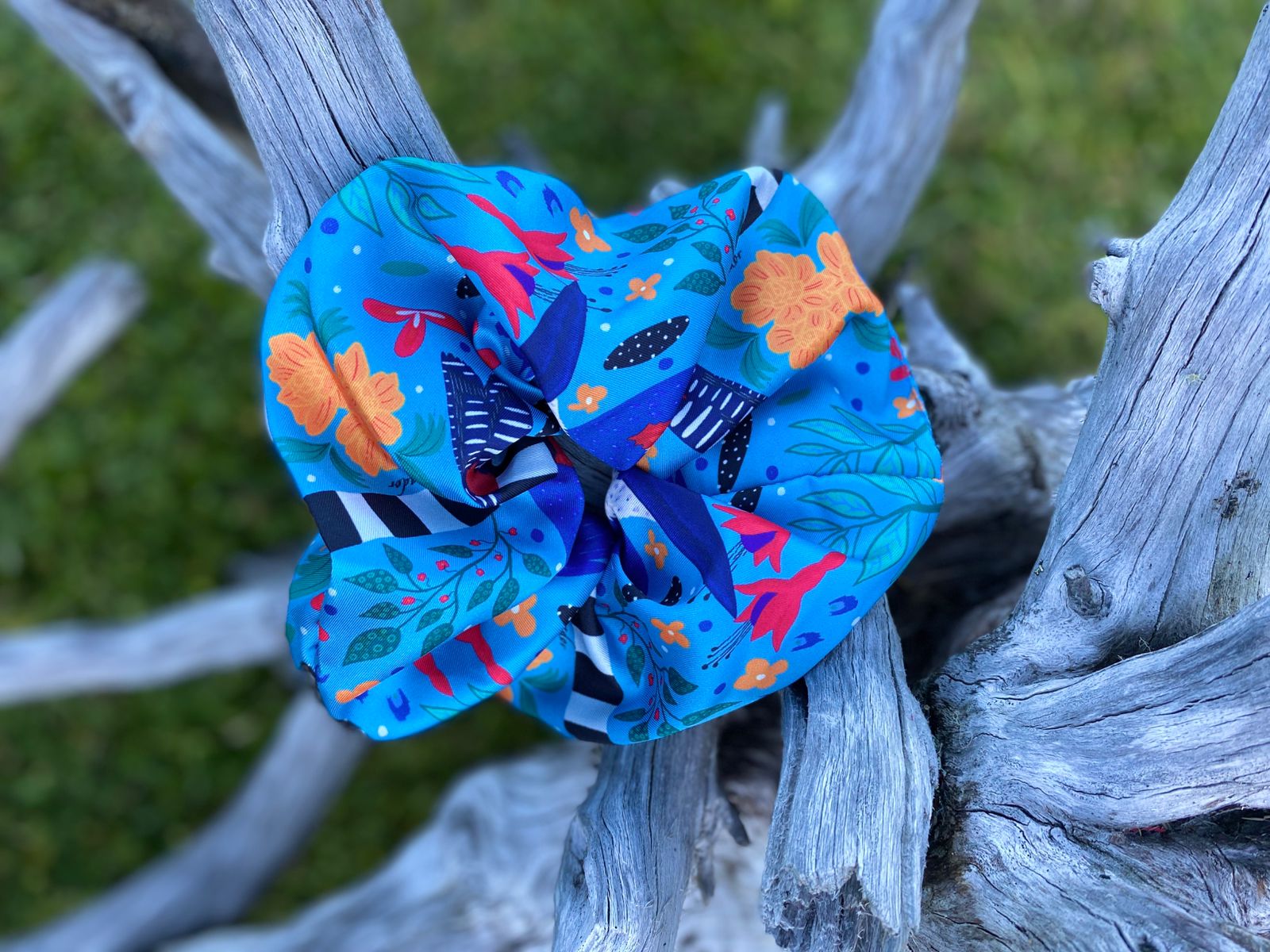 Colet - Martín Pescador