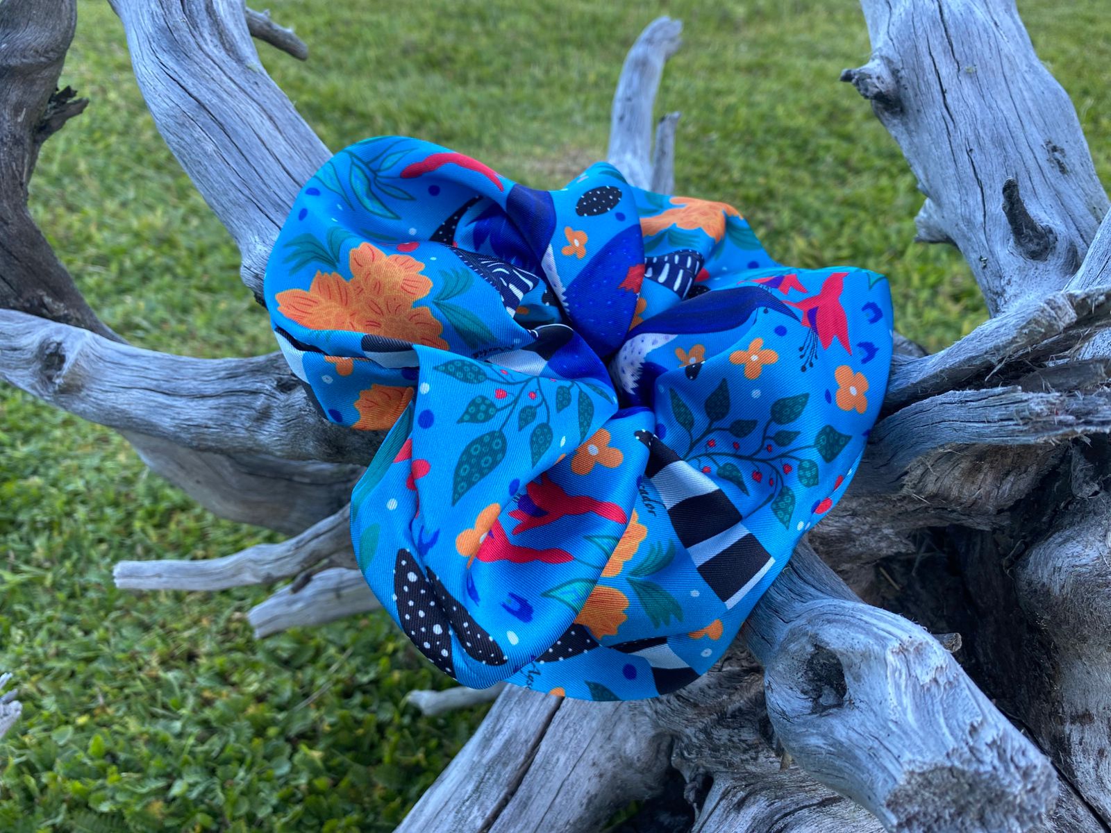 Colet - Martín Pescador