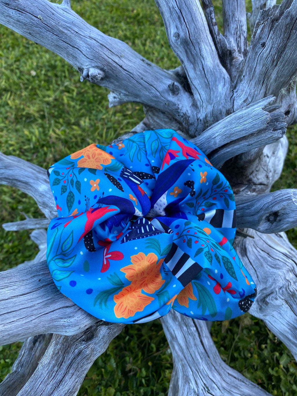 Colet - Martín Pescador