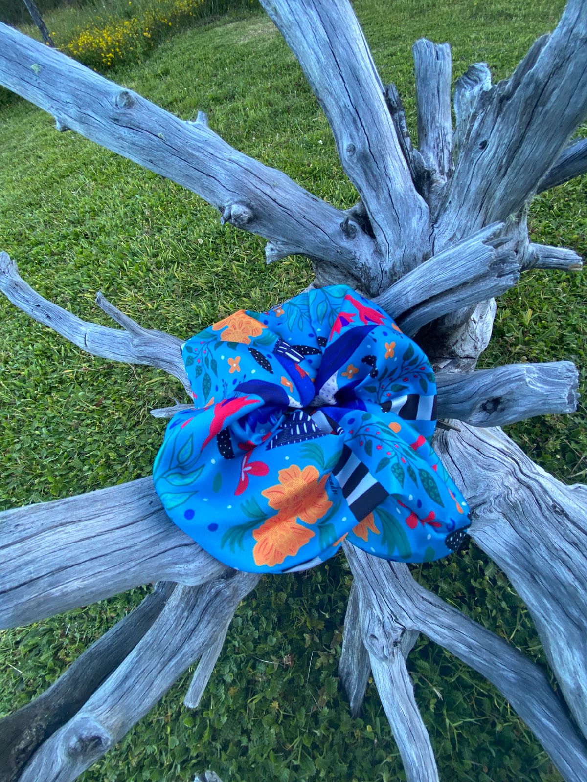 Colet - Martín Pescador